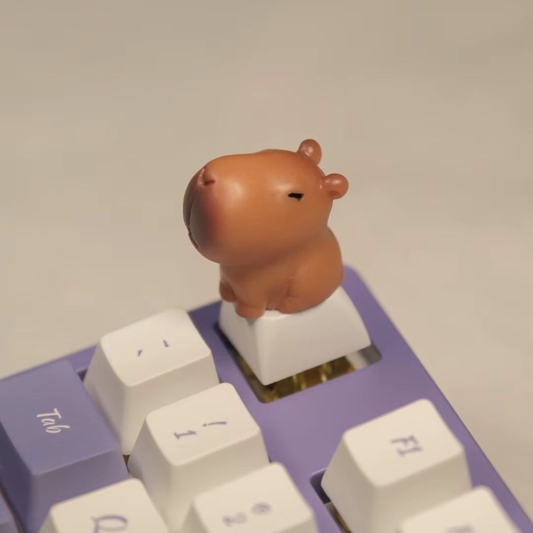 Capuchons de touches Capybara mignons, profil XDA ABS, ensemble de capuchons de clavier mécaniques p