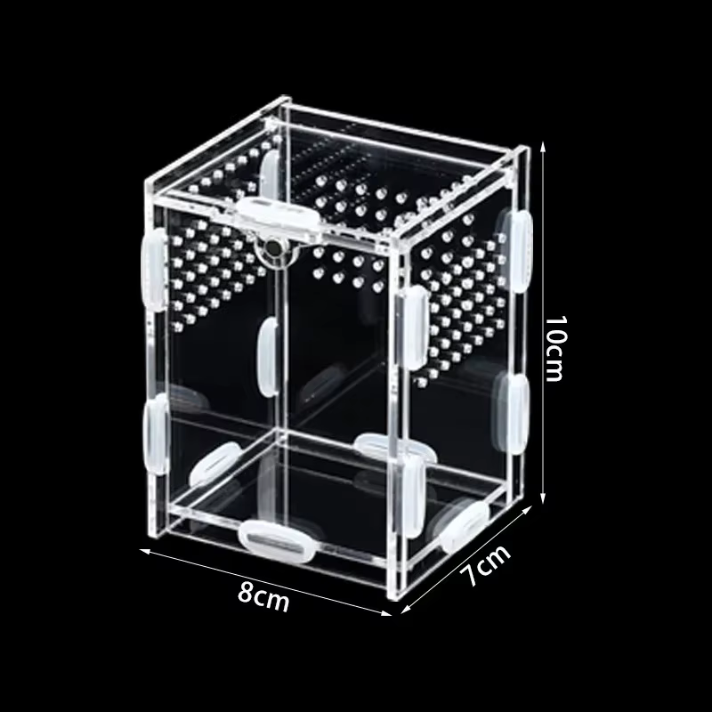 Kit d'assemblage de terrarium transparent en acrylique pour insectes, reptiles, animaux de compagnie