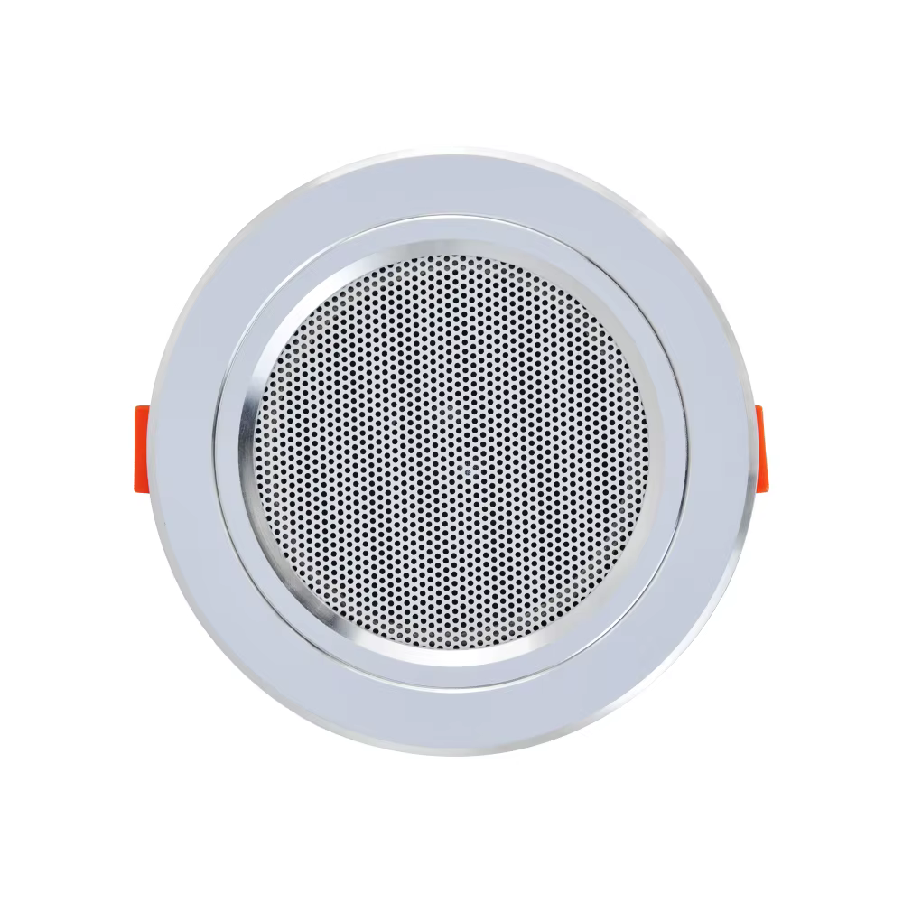 Mini haut-parleur de plafond 12W, haut-parleur stéréo HiFi, système sonore pour Home cinéma, adresse
