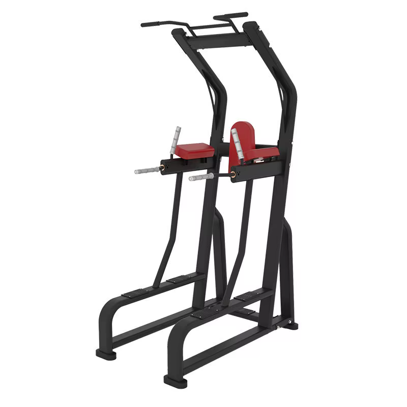 Machine commerciale de gymnase de poids libre d'équipement de forme physique de gymnase