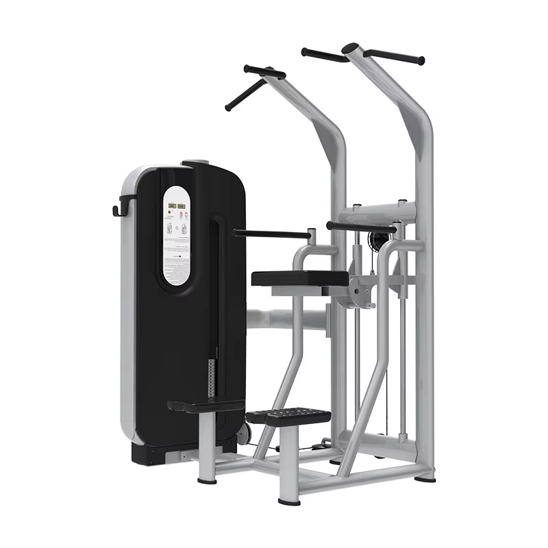 Matériel de musculation de haute qualité Land Fitness, machine à charges réglables pour dips/étriers