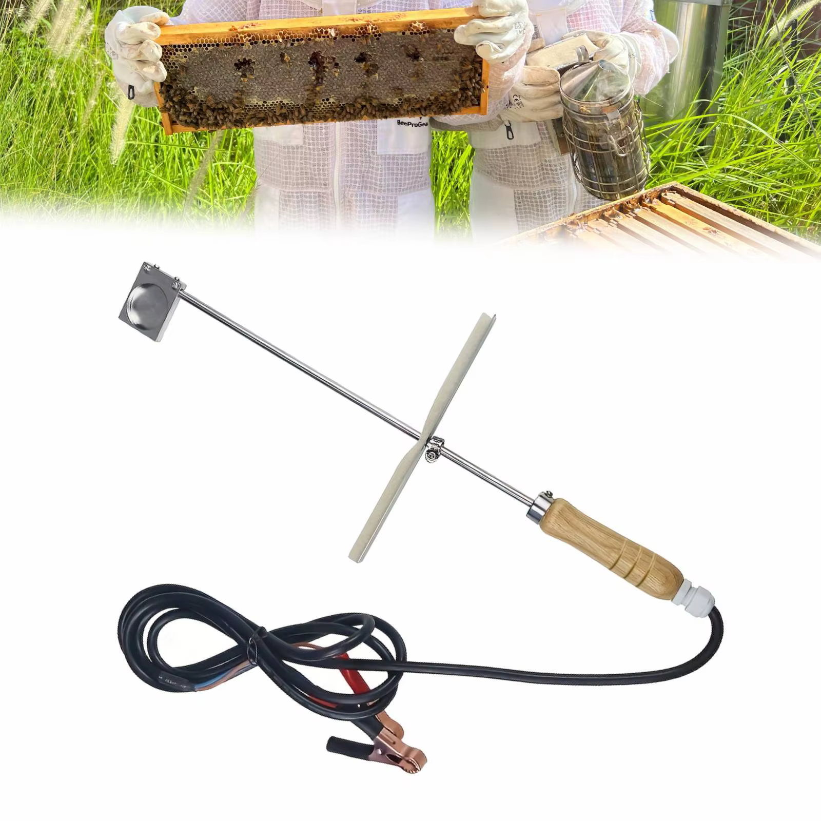 Vaporisateur d'acide oxalique pour le contrôle des abeilles dans les ruches, fournitures d'apicultur