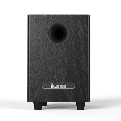 100W haute puissance 6.5 "Subwoofer passif haut-parleurs de cinéma maison basse haut-parleur de voit