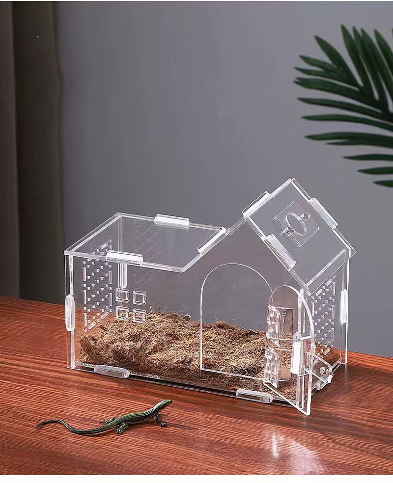 Terrarium pour reptiles en acrylique, portable, petit, boîte d'élevage pour reptiles, terrarium pour