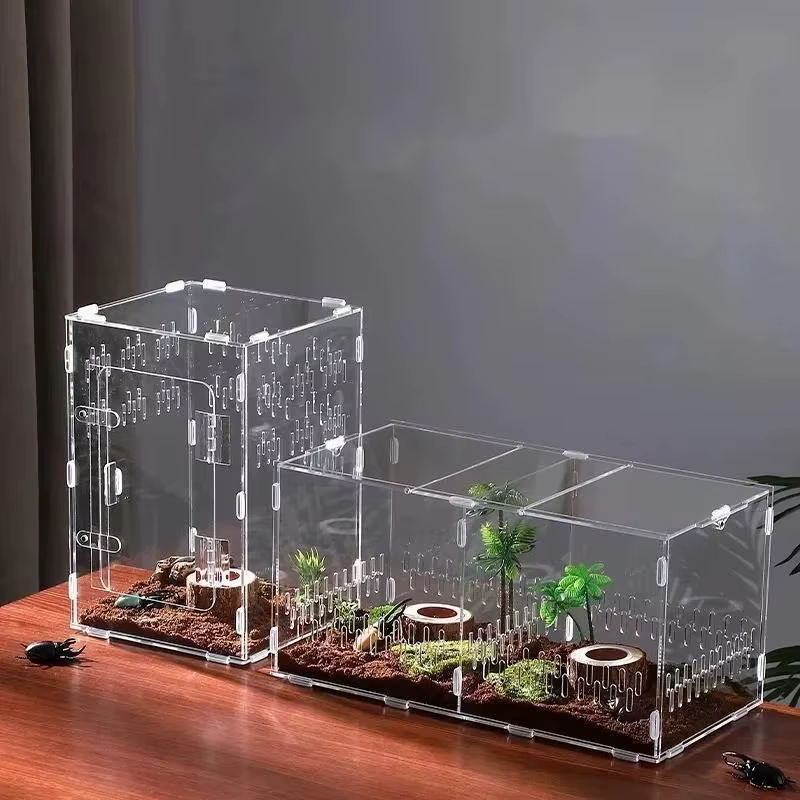 Kit d'assemblage de terrarium transparent en acrylique pour insectes, reptiles, animaux de compagnie, exposition à domicile, pour les amateurs, cadeau d'anniversaire pour les enfants