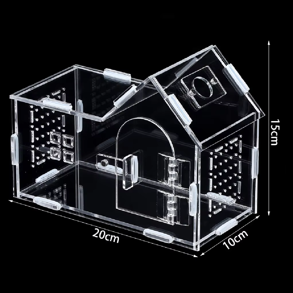 Terrarium pour reptiles en acrylique, portable, petit, boîte d'élevage pour reptiles, terrarium pour araignées, tortues, escargots, cage pour animaux de compagnie