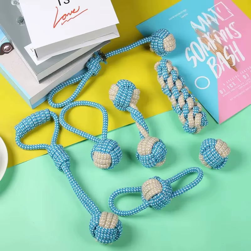 Jouets pour chiens de compagnie pour grands et petits chiens, corde en coton interactive, Mini jouets pour chiens, accessoires, brosse à dents, jouet à mâcher pour chiots
