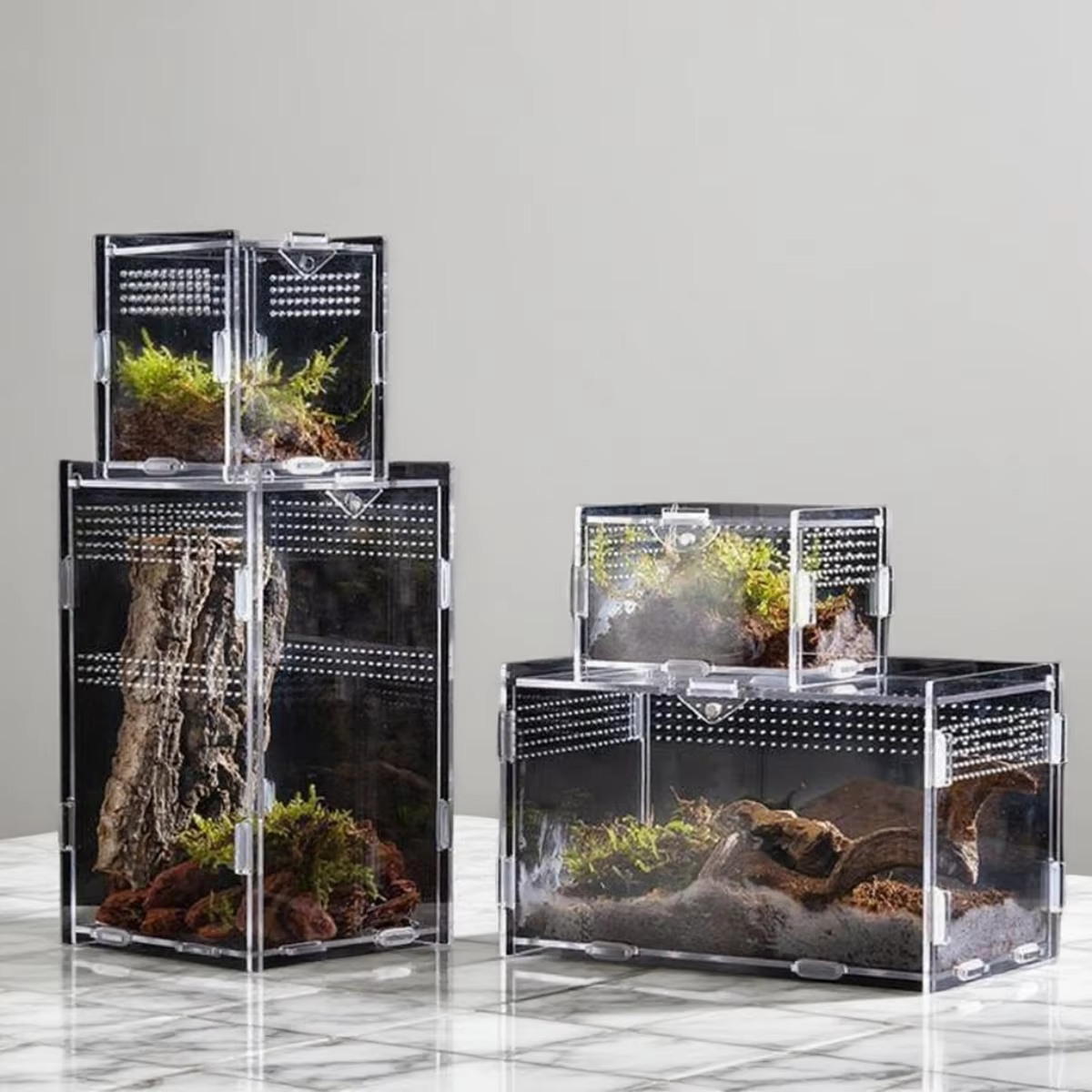 Kit d'assemblage de terrarium transparent en acrylique pour insectes, reptiles, animaux de compagnie, exposition à domicile, pour les amateurs, cadeau d'anniversaire pour les enfants