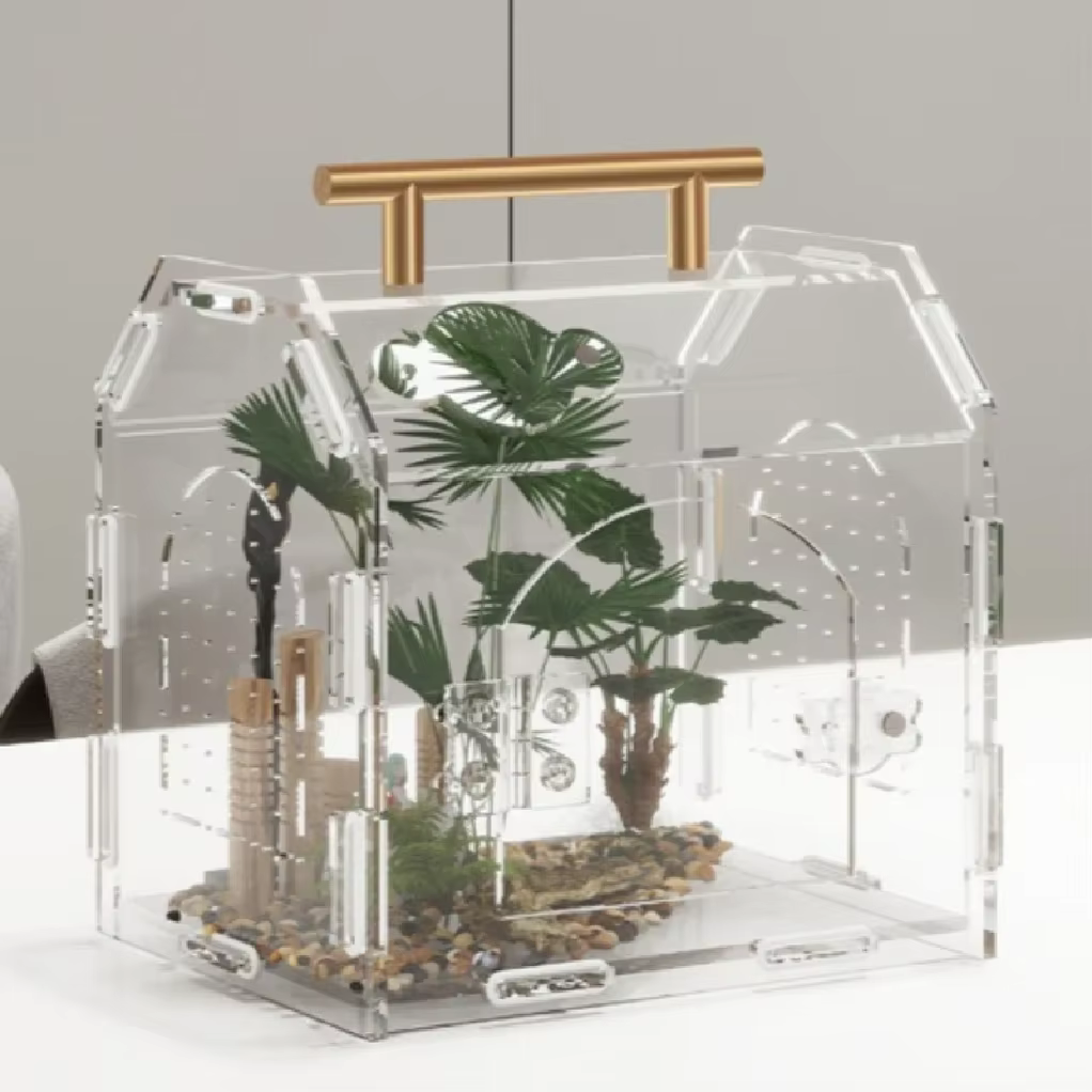 Terrarium pour reptiles en acrylique, portable, petit, boîte d'élevage pour reptiles, terrarium pour araignées, tortues, escargots, cage pour animaux de compagnie