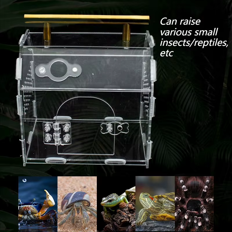 Terrarium pour Reptiles en acrylique, Portable, petite boîte d'élevage pour Reptiles, araignée, tortue, escargot, Cage pour animaux de compagnie