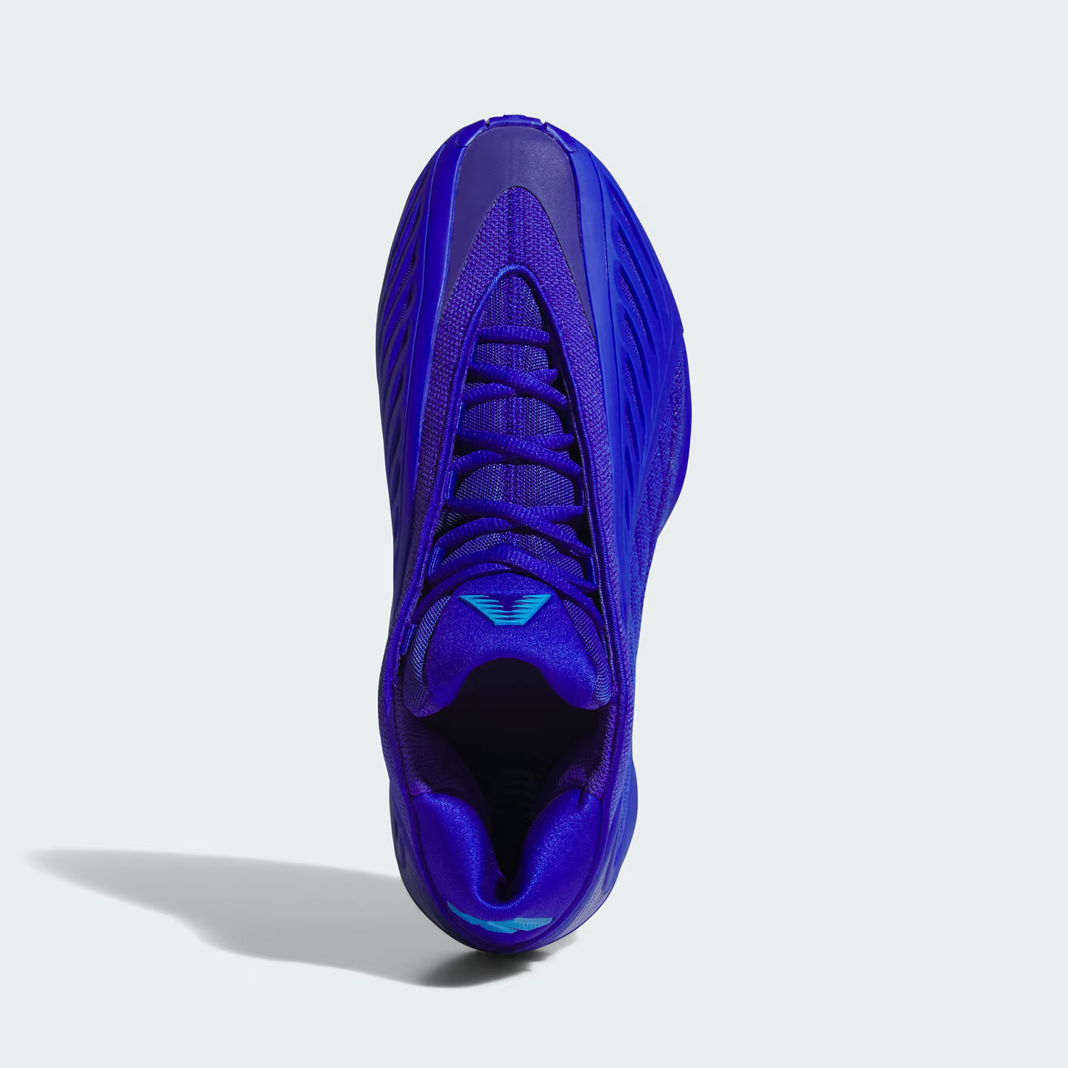 Adidas authentique ANTHONYEDWARDS2 nouvelles chaussures de basket-ball pratiques JQ9501