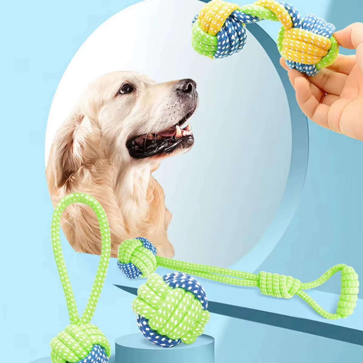 Jouets pour chiens de compagnie pour grands et petits chiens, corde en coton interactive, Mini jouets pour chiens, accessoires, brosse à dents, jouet à mâcher pour chiots