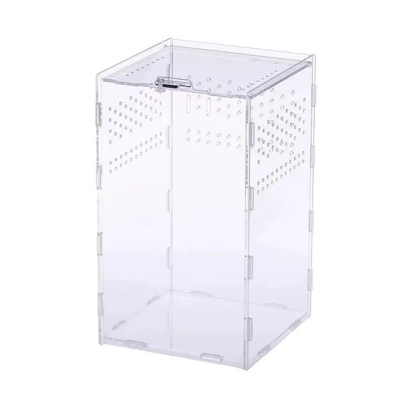 Kit d'assemblage de terrarium transparent en acrylique pour insectes, reptiles, animaux de compagnie, exposition à domicile, pour les amateurs, cadeau d'anniversaire pour les enfants