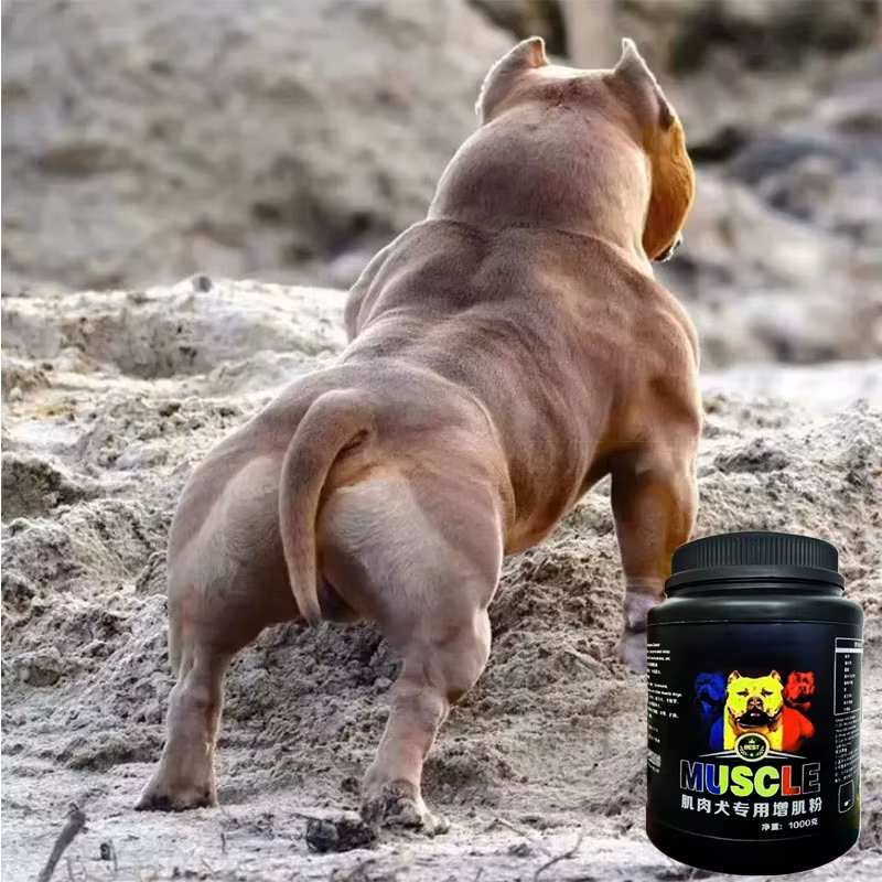 Poudre de protéines de lactosérum Bulldog Muscle Builder 1 kg Bully-pitbull