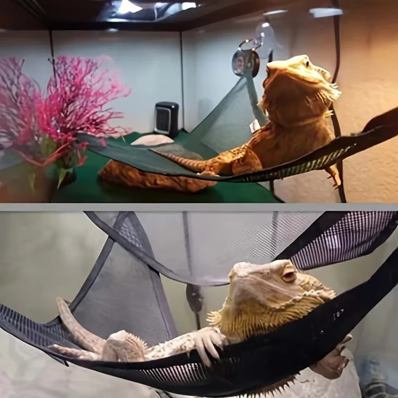 Hamac pour Reptile, décoration de Terrarium pour oiseaux lézard, tapis de Reptile, fournitures pour animaux de compagnie