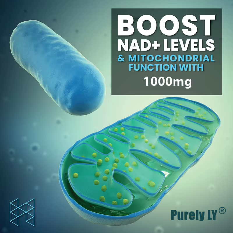 Booster 100% NAD+, anti-âge, livraison rapide à domicile