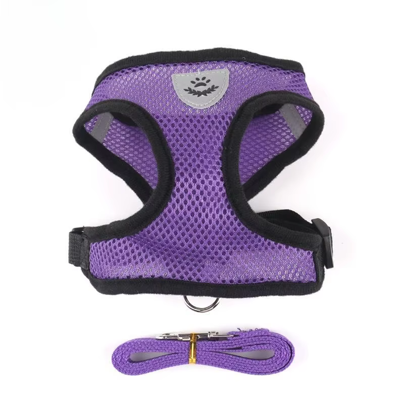 Harnais pour chat et chien avec laisse, gilet réglable en maille polyester respirante, harnais réfléchissant pour petits chiens et chats, accessoires