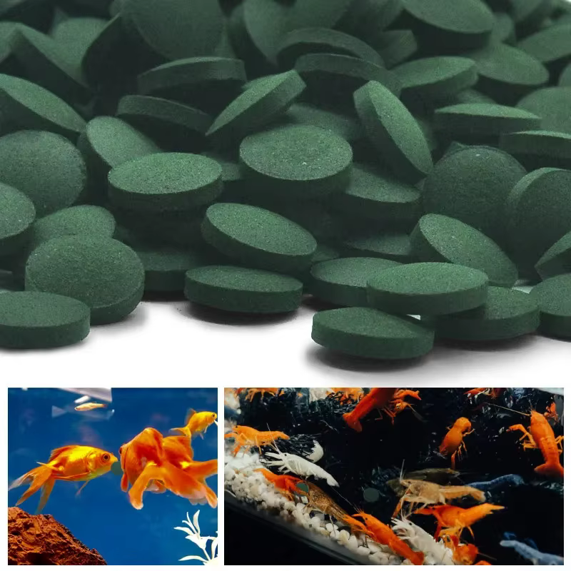 500/1000/1250 pièces comprimés de spiruline de haute pureté enrichissement alimentaire pour animaux de compagnie