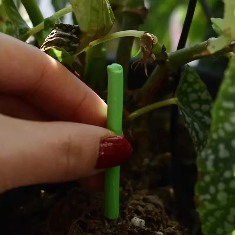 Barres nutritionnelles pour plantes