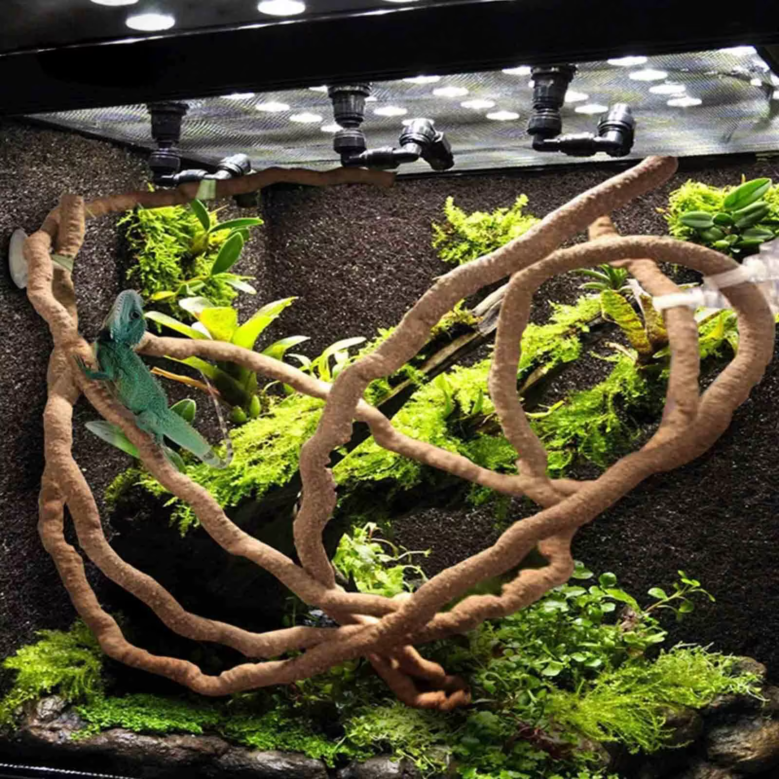 Plante décorative réaliste pour terrarium de reptiles, vigne flexible, accessoire d'escalade pour serpent, gecko, caméléon