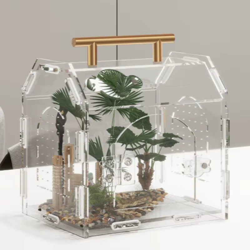 Terrarium pour Reptiles en acrylique, Portable, petite boîte d'élevage pour Reptiles, araignée, tortue, escargot, Cage pour animaux de compagnie