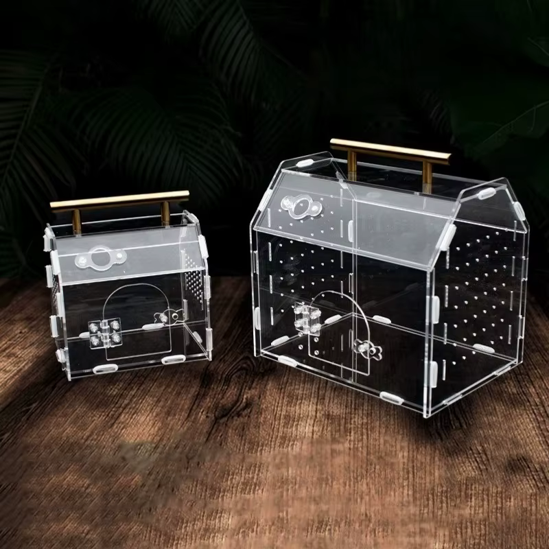 Terrarium pour Reptiles en acrylique, Portable, petite boîte d'élevage pour Reptiles, araignée, tortue, escargot, Cage pour animaux de compagnie