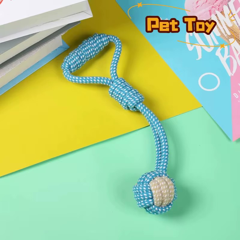 Jouets pour chiens de compagnie pour grands et petits chiens, corde en coton interactive, Mini jouets pour chiens, accessoires, brosse à dents, jouet à mâcher pour chiots