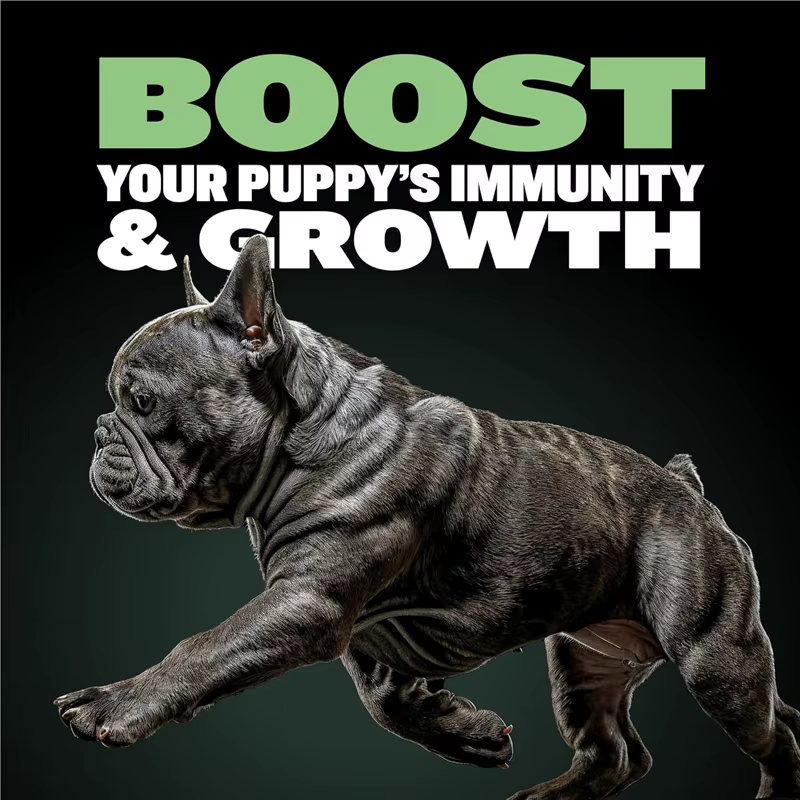 BULLY MAX FORMULA DE PROTEIN & GROWTH ENTIÈME POUR COUPES