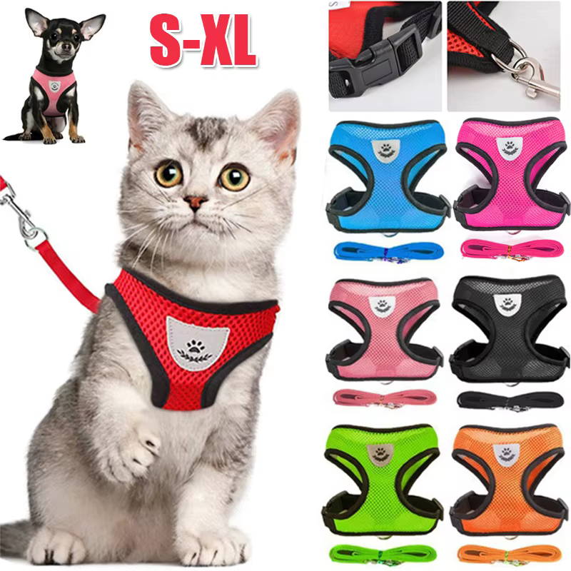 Harnais pour chat et chien avec laisse, gilet réglable en maille polyester respirante, harnais réfléchissant pour petits chiens et chats, accessoires