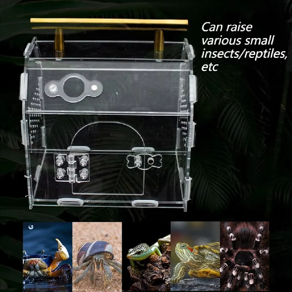 Terrarium pour reptiles en acrylique, portable, petit, boîte d'élevage pour reptiles, terrarium pour araignées, tortues, escargots, cage pour animaux de compagnie