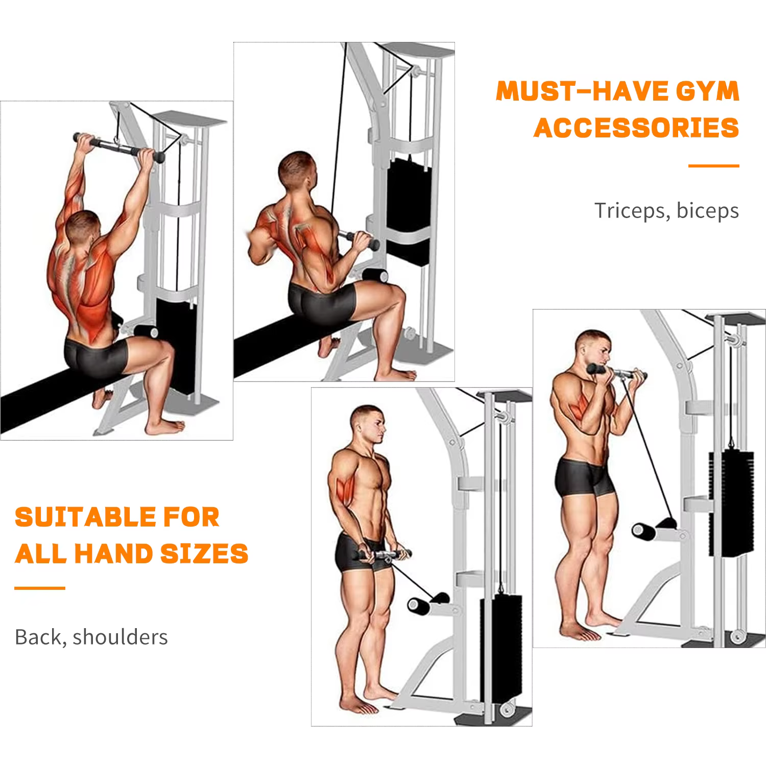 Barre droite pour triceps