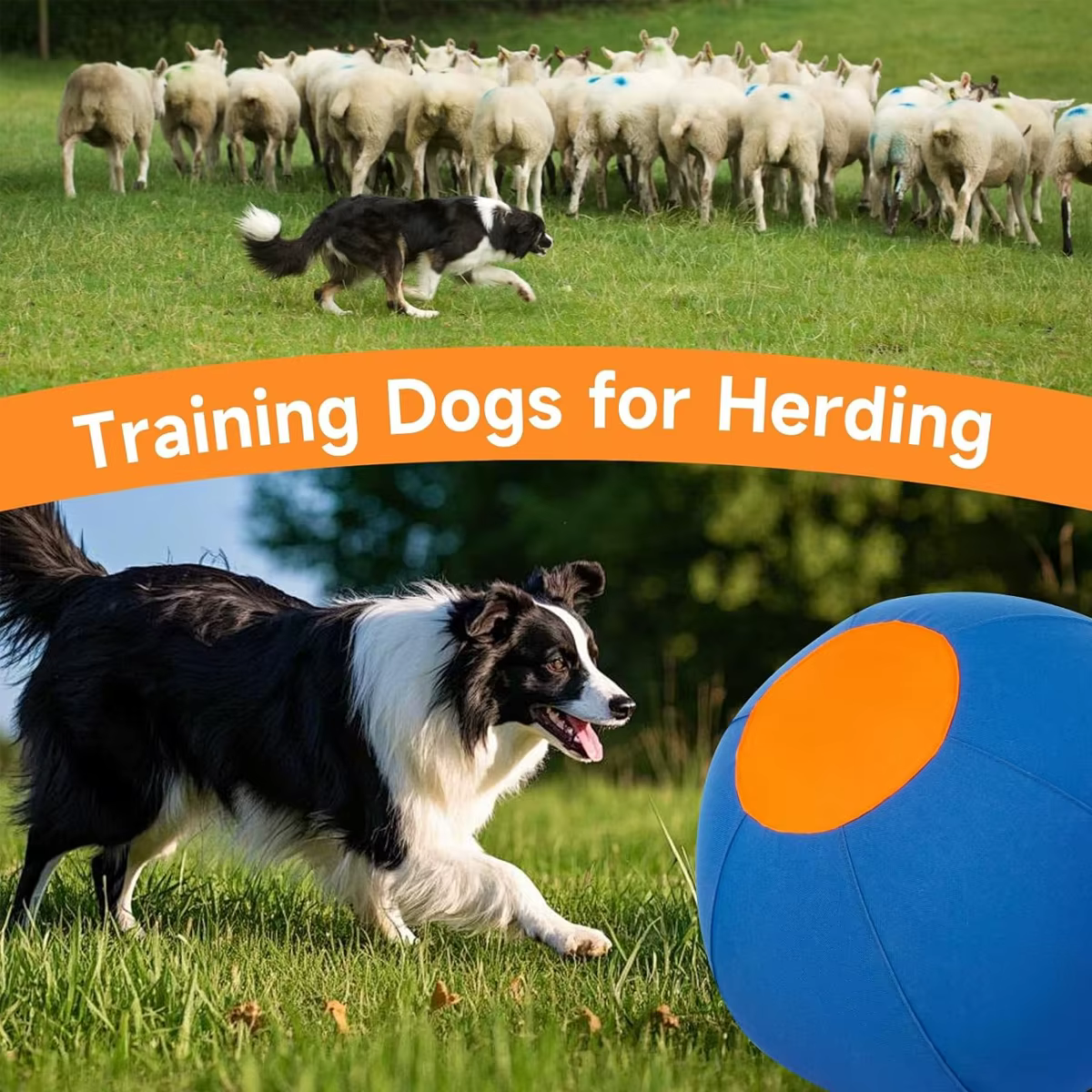 Jouets géants pour animaux de compagnie : balles de jeu d'extérieur pour chiens de taille moyenne et grande, veaux, poulains, agneaux, teckels