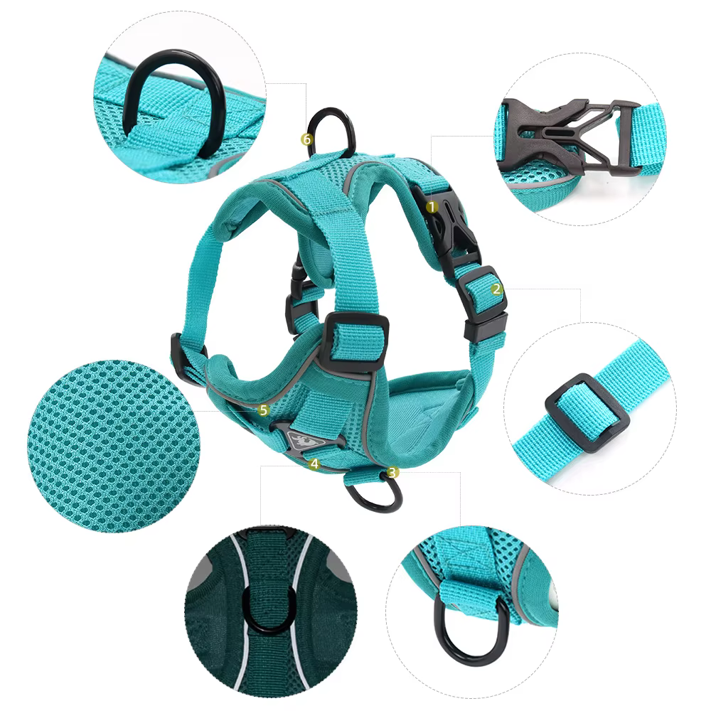 Ensemble harnais et laisse, accessoires pour animaux de compagnie, harnais pour petit chien, bouledogue français, carlin, Pitbull, chiot, collier pectoral, fournitures pour Chiens
