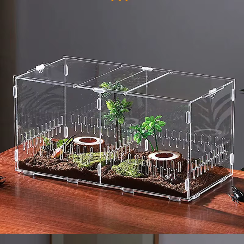 Kit d'assemblage de terrarium transparent en acrylique pour insectes, reptiles, animaux de compagnie, exposition à domicile, pour les amateurs, cadeau d'anniversaire pour les enfants