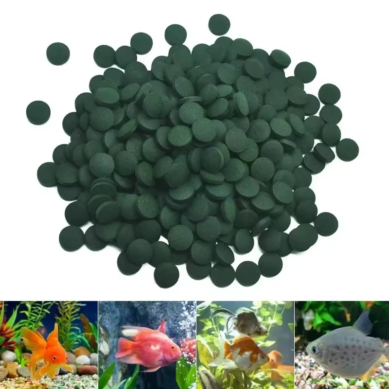 500/1000/1250 pièces comprimés de spiruline de haute pureté enrichissement alimentaire pour animaux de compagnie