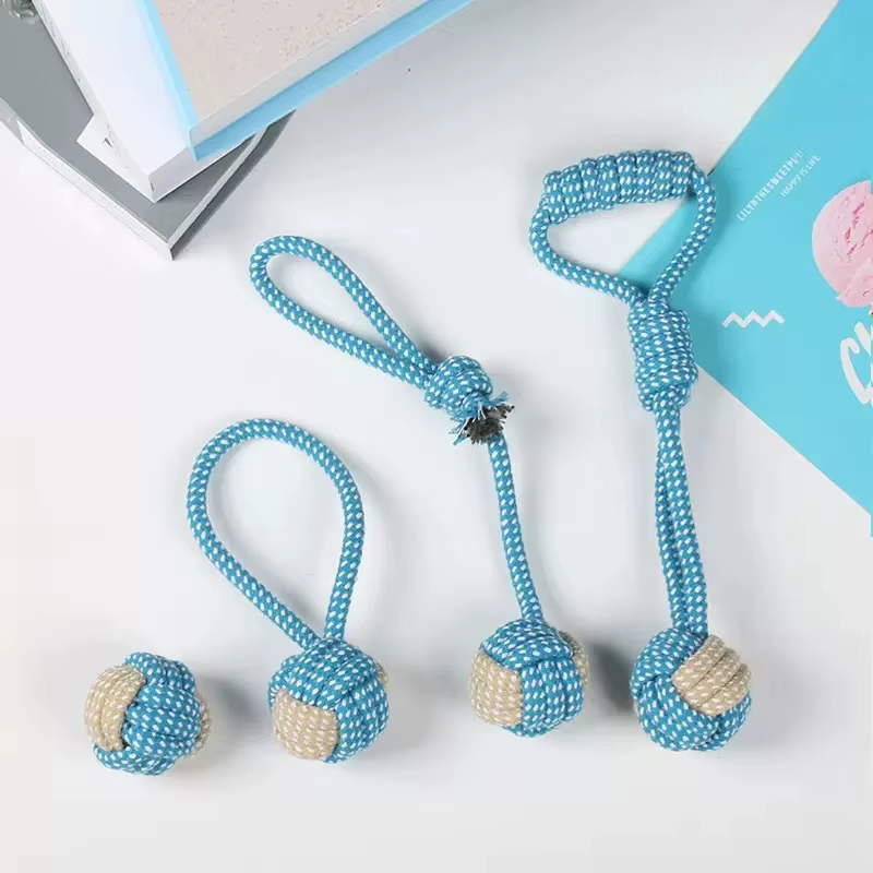 Jouets pour chiens de compagnie pour grands et petits chiens, corde en coton interactive, Mini jouets pour chiens, accessoires, brosse à dents, jouet à mâcher pour chiots