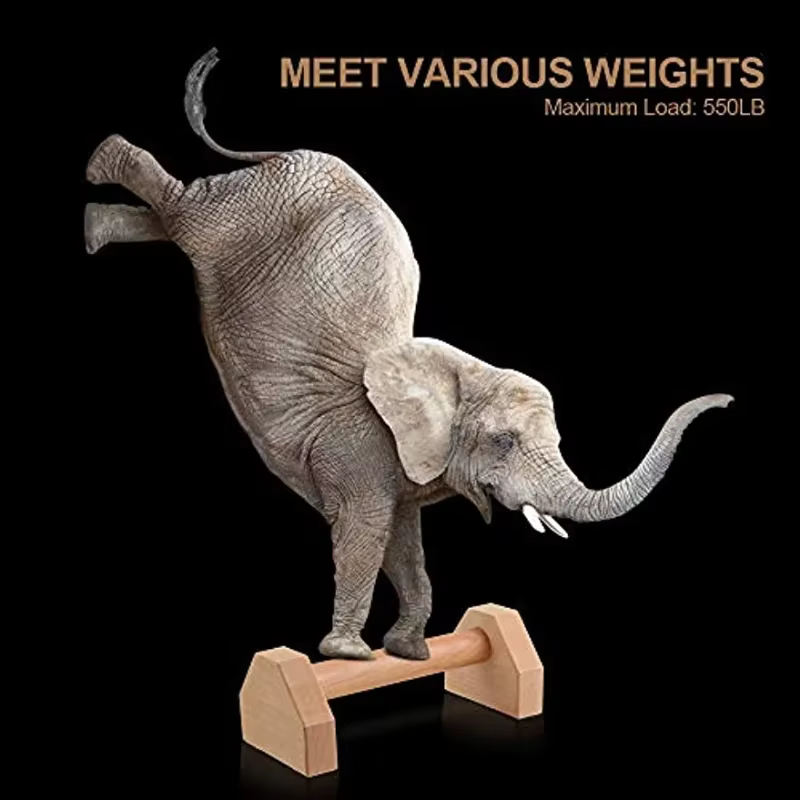 Support de pompes barres de poussée en bois exercice Parallettes antidérapantes supports de poignée calistenie équipement de Fitness entraînement de force à domicile