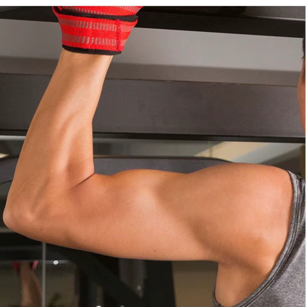 Bande de résistance de Fitness, ceinture d'assistance d'haltérophilie, sangles de poignet d'haltérophilie, ceinture de rehausseur en forme de 8