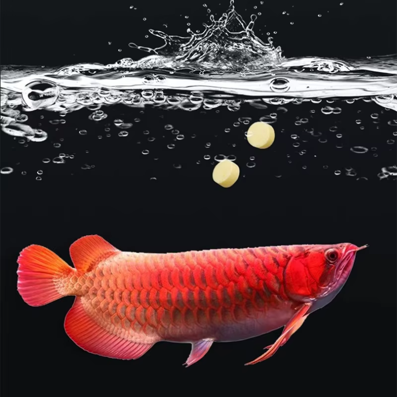 Sel d'aquarium cmomo - Sel d'aquarium spécialisé pour poissons dorés, koi et poissons tropicaux - Après-shampooing avec formule anti-stress