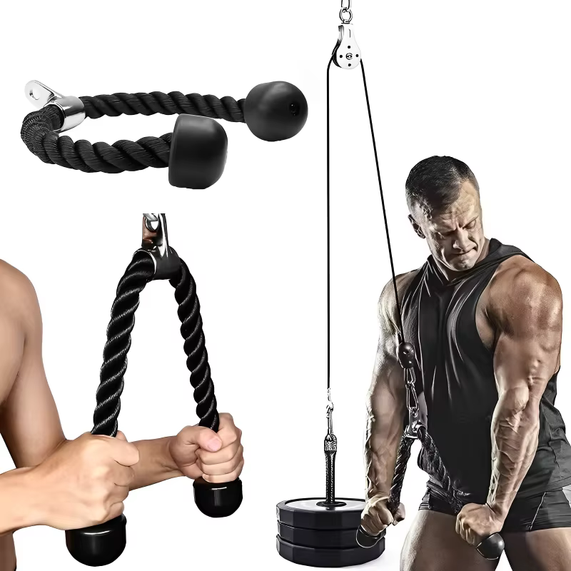 Équipement de cadre de portique d'entraînement pour biceps
