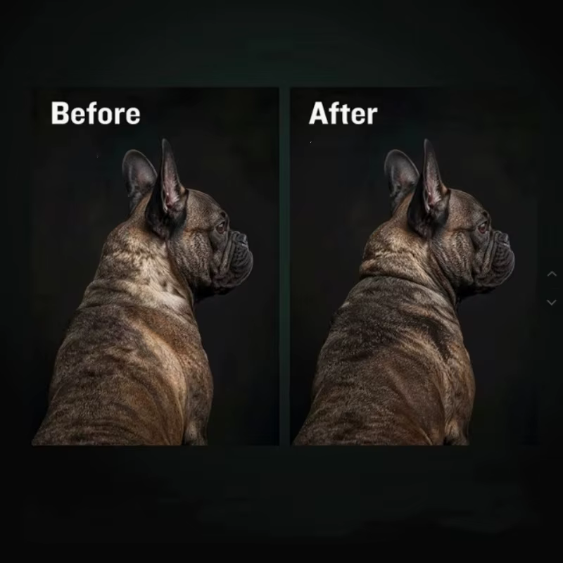 BULLY MAX FORMULA DE PROTEIN & GROWTH ENTIÈME POUR COUPES