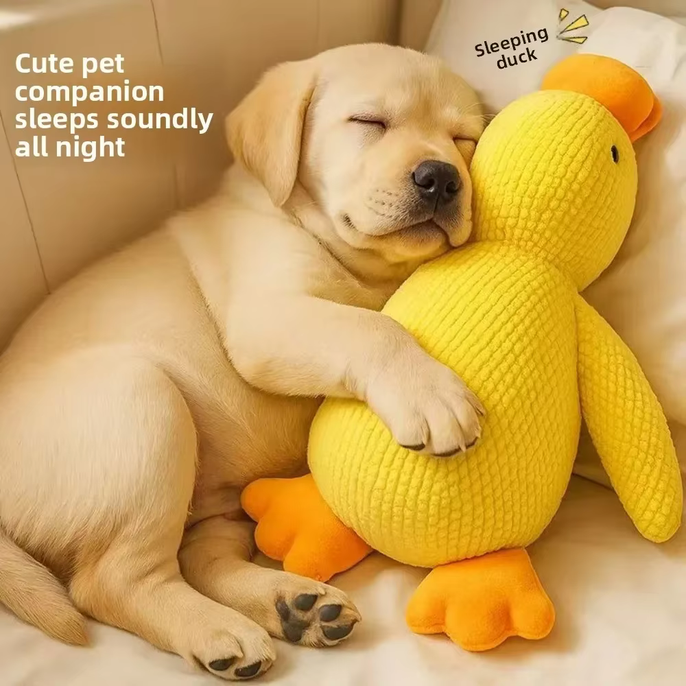 1/3 pièces d'accessoires pour chiens, jouet en peluche canard apaisant qui couine, aide au sommeil de luxe, compagnon durable pour chiot et animal de compagnie