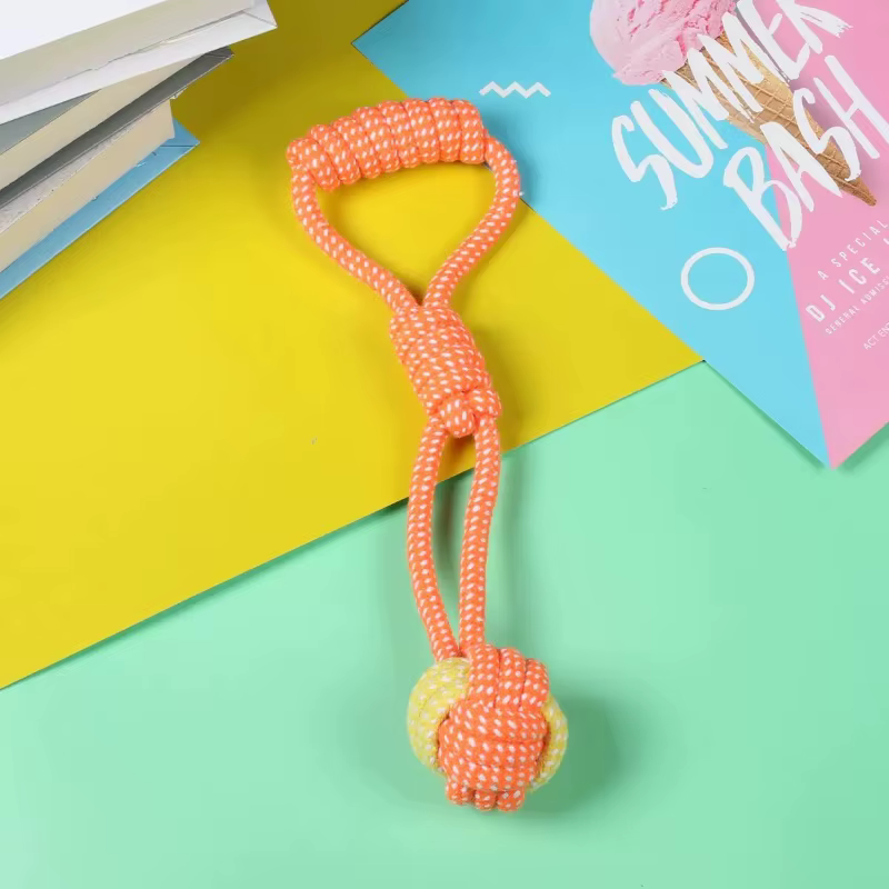 Jouets pour chiens de compagnie pour grands et petits chiens, corde en coton interactive, Mini jouets pour chiens, accessoires, brosse à dents, jouet à mâcher pour chiots