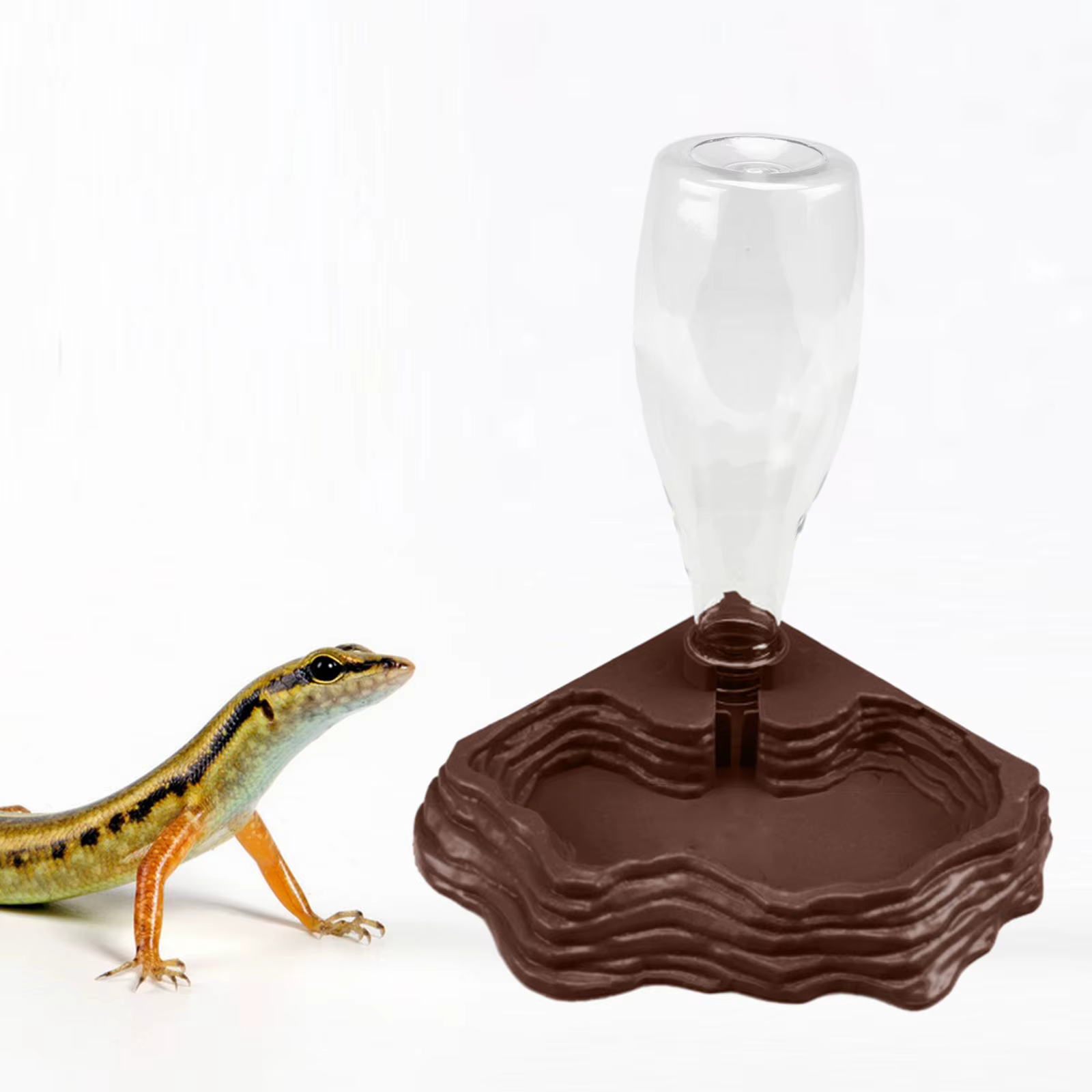 Distributeur d'eau automatique, accessoires de réservoir de Terrarium, bol d'eau pour tortue, plat d'alimentation pour caméléon, tortues, lézards, tortue, animal de compagnie