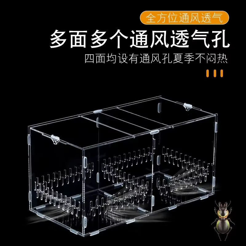Kit d'assemblage de terrarium transparent en acrylique pour insectes, reptiles, animaux de compagnie, exposition à domicile, pour les amateurs, cadeau d'anniversaire pour les enfants