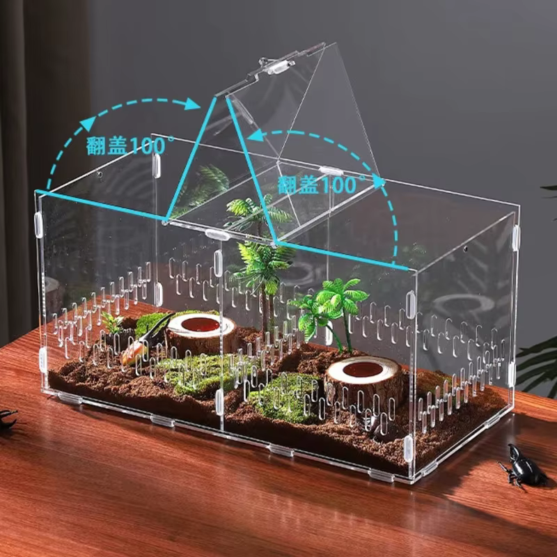 Kit d'assemblage de terrarium transparent en acrylique pour insectes, reptiles, animaux de compagnie, exposition à domicile, pour les amateurs, cadeau d'anniversaire pour les enfants