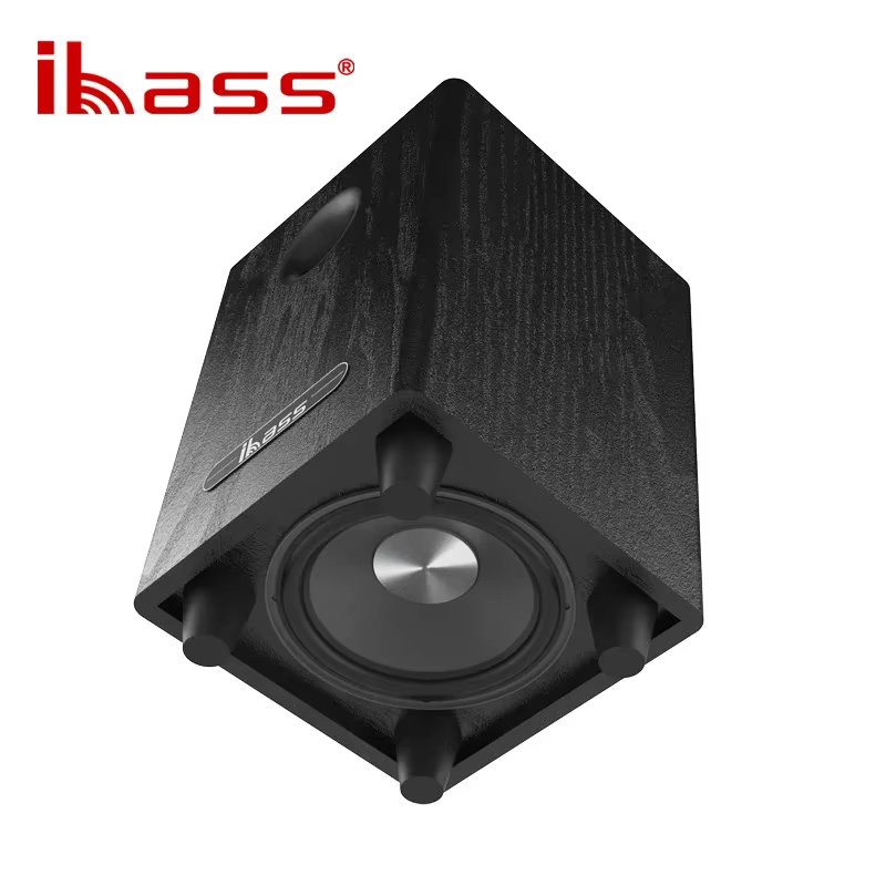 100W haute puissance 6.5 "Subwoofer passif haut-parleurs de cinéma maison basse haut-parleur de voiture amplificateur haut-parleurs Boom Box système sonore grande puissance